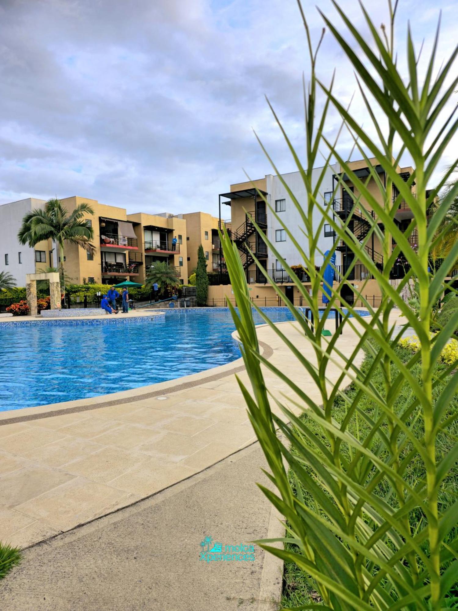 Privado Vacacional A 5m Del Aeropuerto, 20 Minutos Del Parque Del Cafe Y Centro De Con 4 Piscinas, 3 Jacuzzi, Sauna By Molca Xperiences 2h *