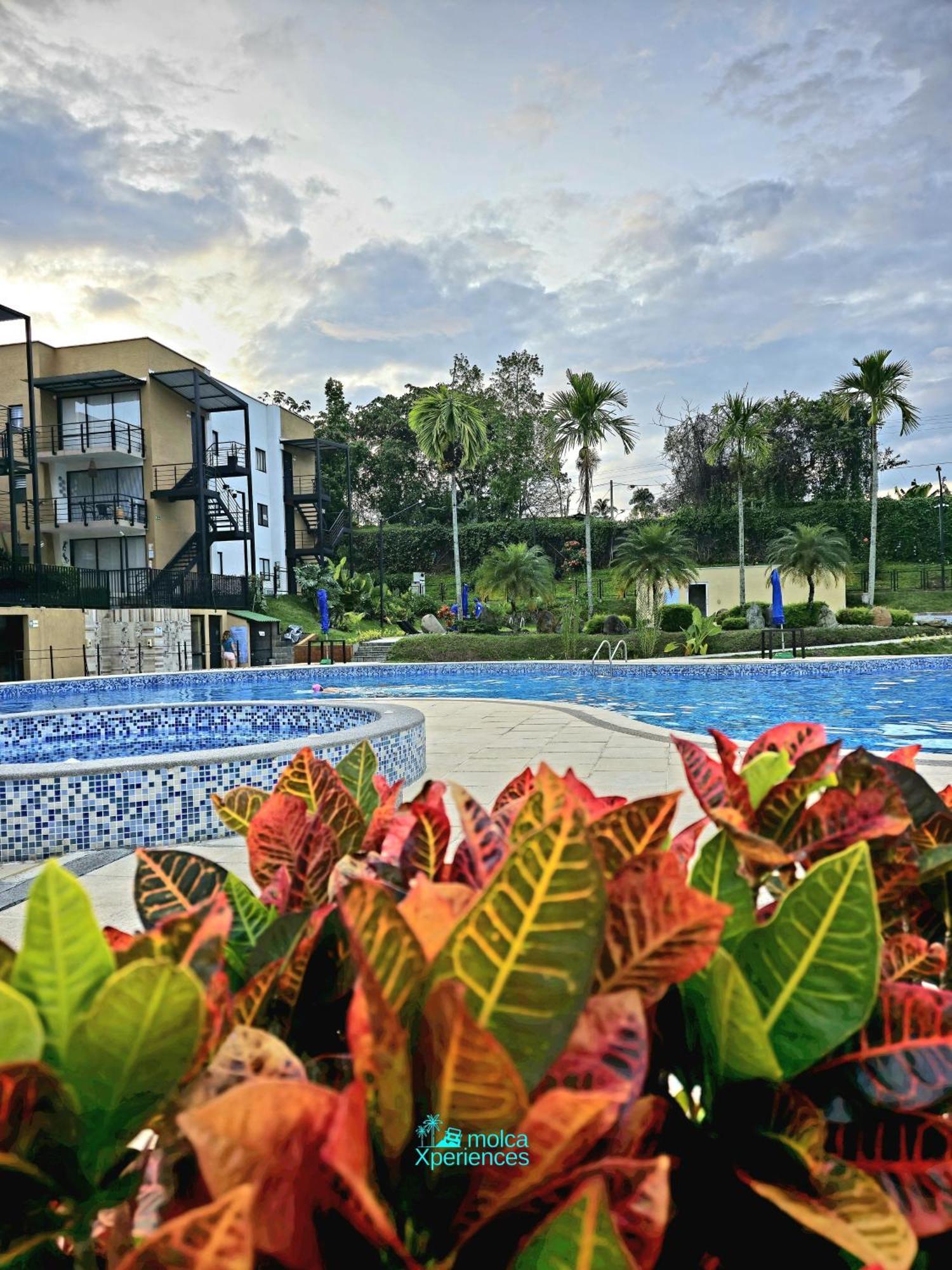 Privado Vacacional A 5m Del Aeropuerto, 20 Minutos Del Parque Del Cafe Y Centro De Con 4 Piscinas, 3 Jacuzzi, Sauna By Molca Xperiences 2h *