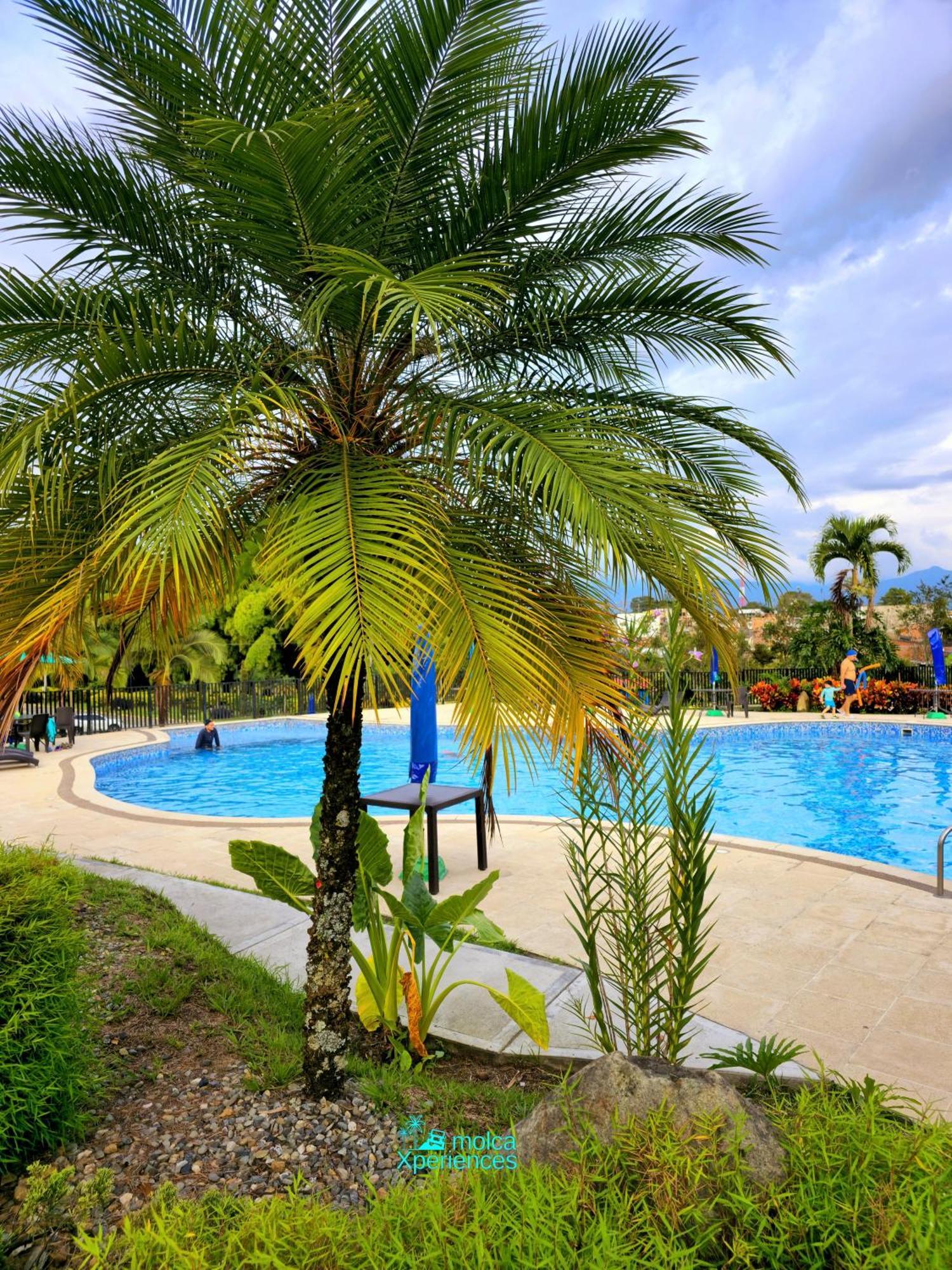 Appartement Privado Vacacional A 5m Del Aeropuerto, 20 Minutos Del Parque Del Cafe Y Centro De Con 4 Piscinas, 3 Jacuzzi, Sauna By Molca Xperiences 2h